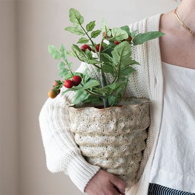 Potted Faux Tomato Plant Set of 2