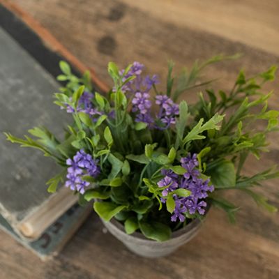Potted Jasmine Arrangement