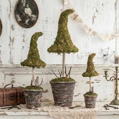 Potted Mossy Witch Hat Topiary