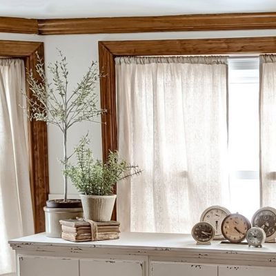 Potted Thyme Topiary