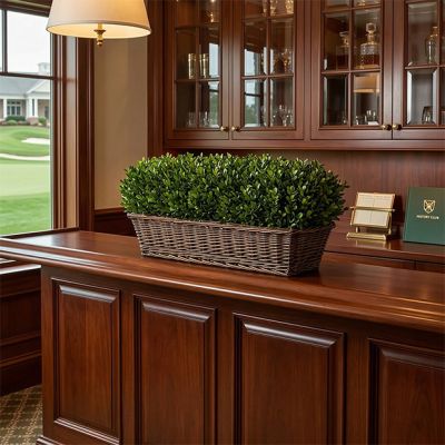 Preserved Boxwood In Willow Basket