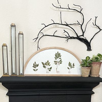 Pressed Botanicals Arched Wall Art