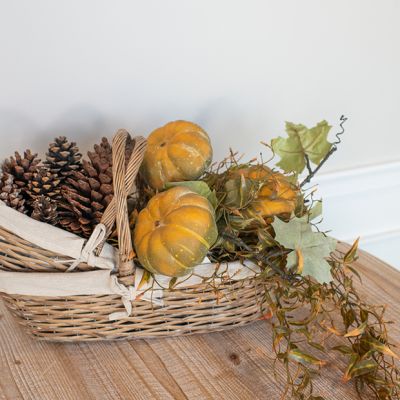 Pumpkin Vine Stem