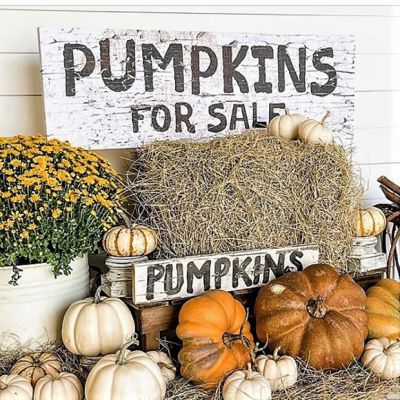 Pumpkins For Sale Canvas Wall Art