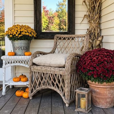 Rattan Lattice Accent Chair With Cushion