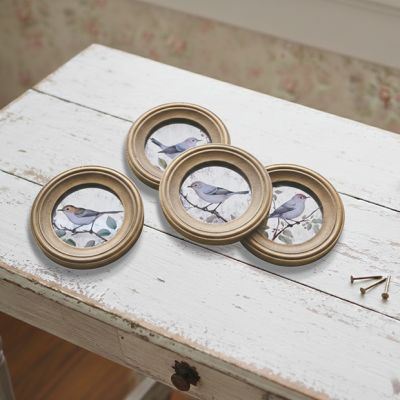 Round Gold Framed Bird Print Set of 4
