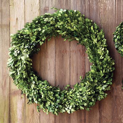 Round Preserved Boxwood Wreath 10 Inch