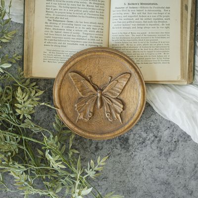 Round Wood Insect Wall Plaque