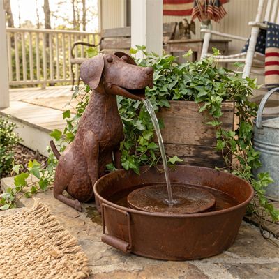 Rustic Dog Water Fountain