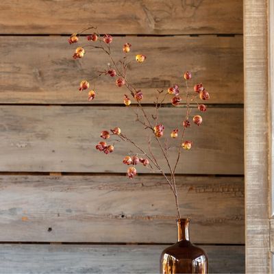 Rustic Fall Crabapple Stem