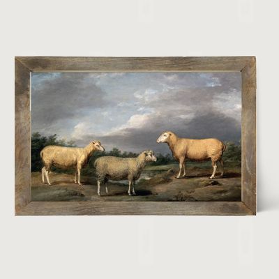 Rustic Framed Vintage Sheep Wall Art