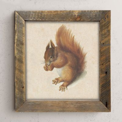 Rustic Framed Vintage Squirrel Wall Art