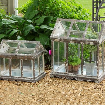 Rustic Garden Greenhouse Terrarium Set of 2