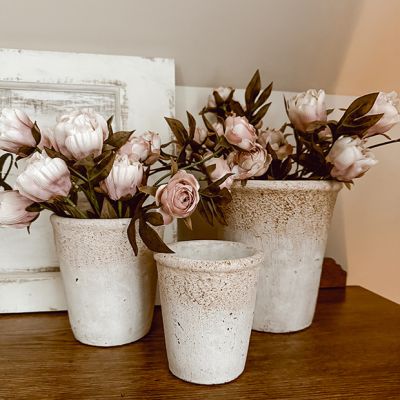 Rustic Greenhouse Pot Set of 3