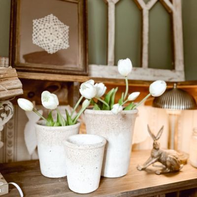 Rustic Greenhouse Pot Set of 3