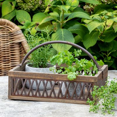 Rustic Iron Lattice Box With Handle
