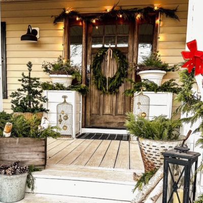 Rustic Wire Display Cloche Set of 2