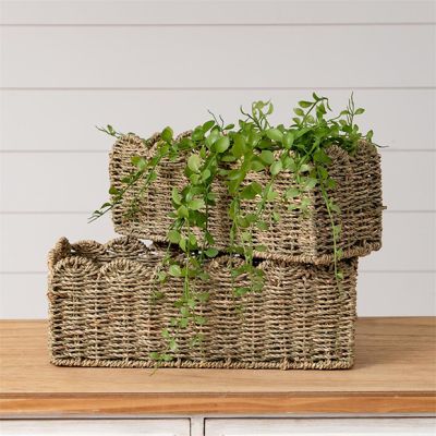 Scalloped Edge Seagrass Basket Set of 2