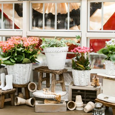 Scalloped Garden Bucket Set of 4