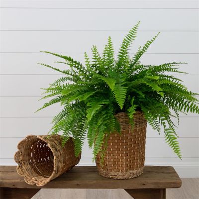 Scalloped Rim Rattan Basket Set of 2