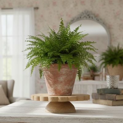 Scalloped Wood Cake Pedestal