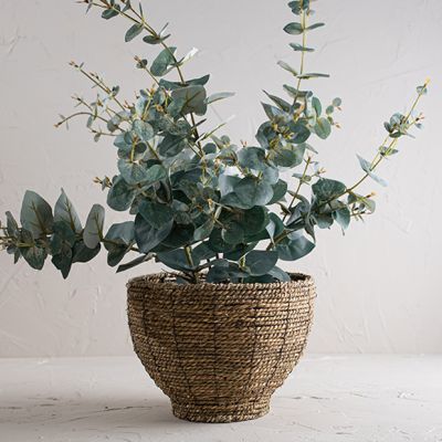 Seagrass Basket Planter 7 inch