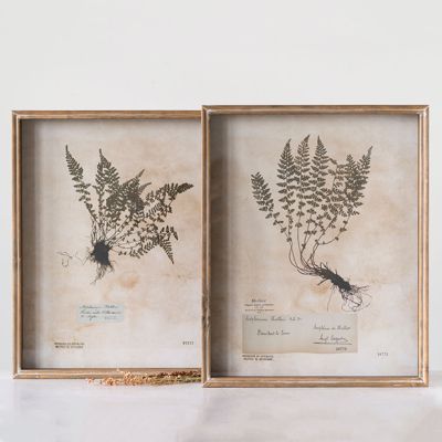 Shadow Box Botanical Wall Decor Set of 2