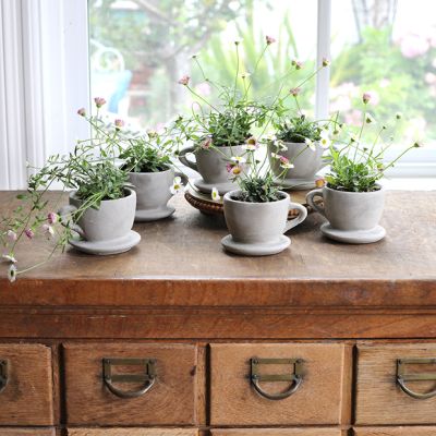 Simple Accents Concrete Teacup Planter