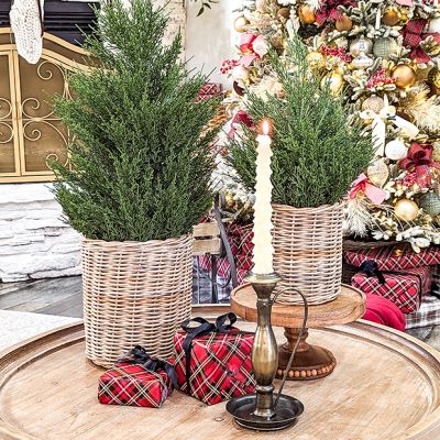 Simple Farmhouse Wicker Storage Baskets Set of 2