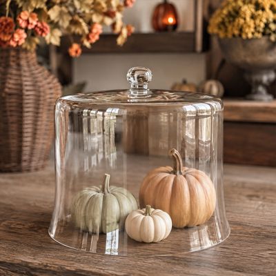 Simple Glass Cloche 12 Inch