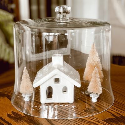 Simple Glass Cloche 12 Inch