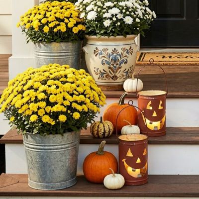 Smiling Jack O Lanterns Set of 2