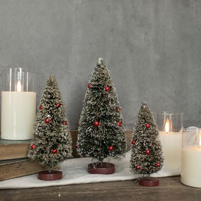 Snowy Tabletop Bottlebrush Tree