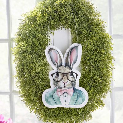 Spring Accents Dapper Bunny Door Hanger