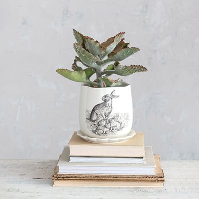 Stoneware Rabbit Planter Pot With Scalloped Saucer