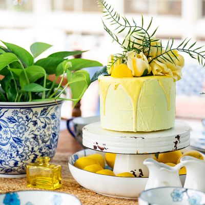 Sweet Lemon Textured Faux Cake