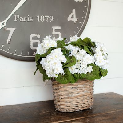 Sweet White Violet Pick