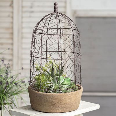Terra Cotta Pot and Saucer With Tall Wire Cloche