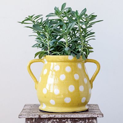 Terracotta Polka Dot Planter