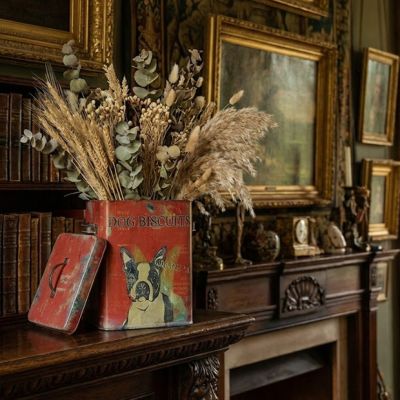 Tin Dog Biscuit Container