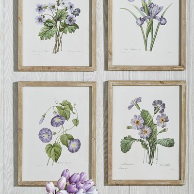 Tranquil Framed Floral Print Set of 6
