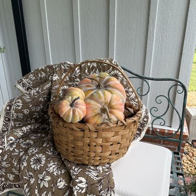 Twisted Stem Harvest Pumpkin