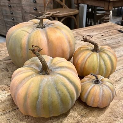 Twisted Stem Harvest Pumpkin