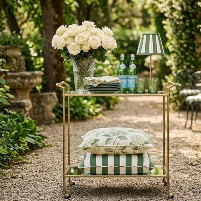 Two Tiered Mirrored Glass Bar Cart