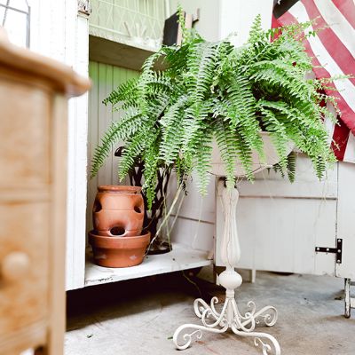 Victorian Inspired Garden Bird Bath