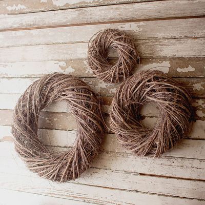 Vine Stem Wreath Set of 3