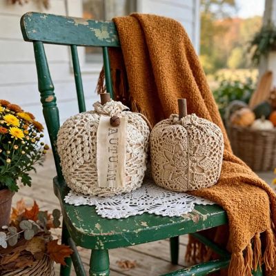 Vintage Crochet Autumn Pumpkin Set of 2