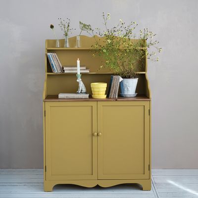 Vintage Inspired 2 Door Storage Cabinet with Shelves