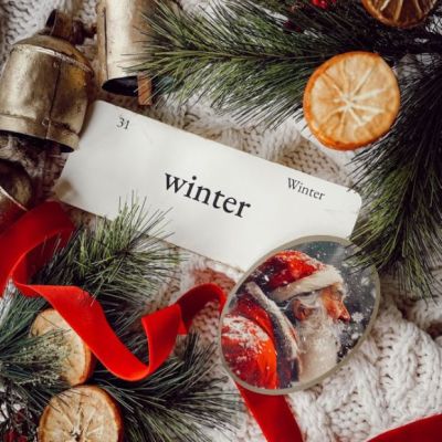 Vintage Inspired Winter Word Flashcard Set of 6