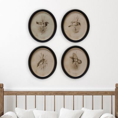 Vintage Reproduction Oval Framed Bird Wall Decor Set of 4